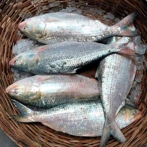 ৬ পিস মাছে ৫ কেজি= ২০০০ টাকা।